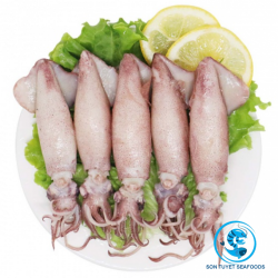 Mực tươi Sơn Tuyết - Hải Sản Sơn Tuyết