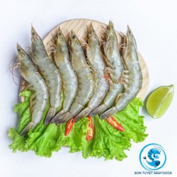 Tôm tươi sống - Hải Sản Sơn Tuyết